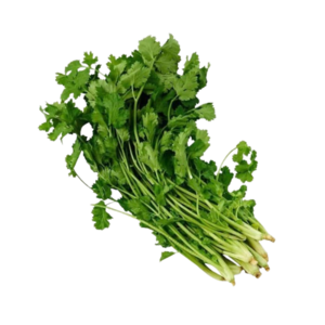 Image of Leaf Coriander / Daun Ketumbar/Insai (sold per kg) from Supplybunny.com