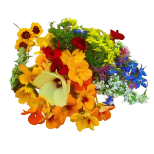 Image of Edible Flower (Paradish Mix Flowers) 25gm/pack (sold per pack) - PREORDER from Supplybunny.com