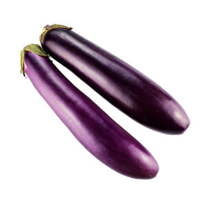 Image of Eggplant Long / Terung Panjang from Supplybunny.com
