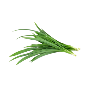Image of Leaf Pandan (sold per kg) from Supplybunny.com