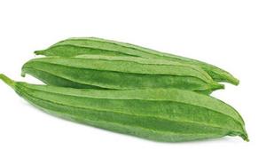 Image of Petola Panjang from Supplybunny.com