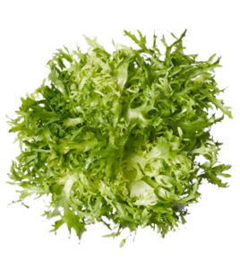 Image of Frisse Salad (sold per kg) from Supplybunny.com