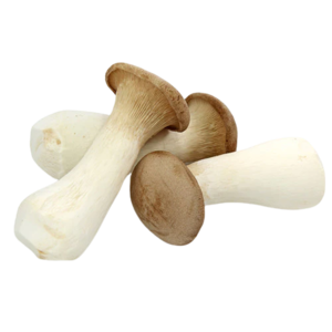 Image of Mushroom King Oyster 200g/pack (sold per pack) from Supplybunny.com