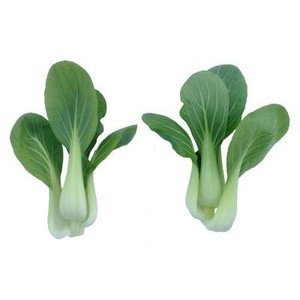 Image of Siew Pak Choy Baby (sold per kg) from Supplybunny.com