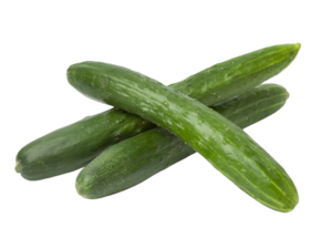 Image of Cucumber Japanese / Kyuri (sold per kg) from Supplybunny.com