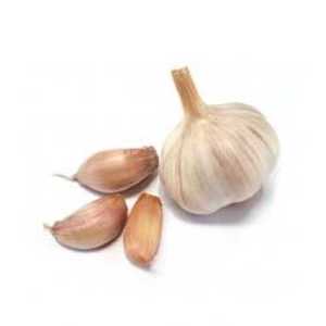 Image of Garlic Whole (sold per kg) from Supplybunny.com