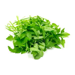 Image of Leaf Selom (sold per kg) from Supplybunny.com