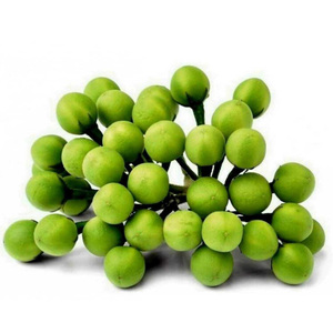 Image of Eggplant Pea / Terung Pipit from Supplybunny.com