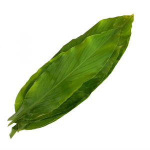 Image of Leaf Turmeric / Daun Kunyit (sold per kg) from Supplybunny.com