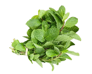 Image of Mint Leaf (sold per kg) from Supplybunny.com