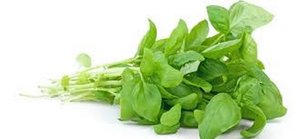 Image of Daun Kemangi (sold per kg) from Supplybunny.com