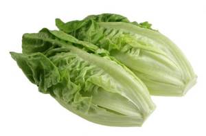 Image of Yow Mak Tam / Lettuce Romaine (sold per kg) from Supplybunny.com