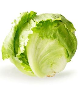 Image of Lettuce Iceberg (sold per kg) from Supplybunny.com