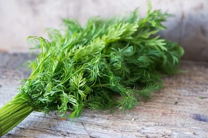 Image of Fennel Herbs (sold per kg) from Supplybunny.com