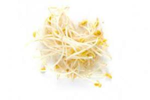 Image of Sprout Soybean / Taugeh Besar (MSM) from Supplybunny.com
