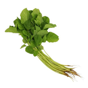 Image of Amaranth Green / Bayam Hijau (sold per kg) from Supplybunny.com