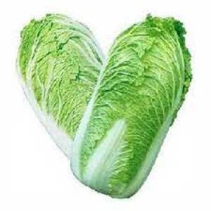 Image of Cabbage Chinese / Napa (sold per kg) from Supplybunny.com
