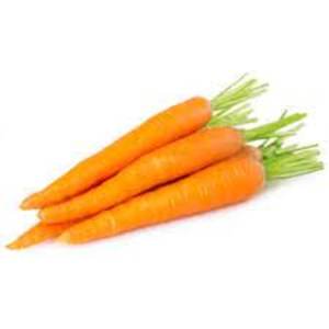 Image of Carrot (sold per kg) from Supplybunny.com