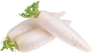 Image of Raddish White / Daikon (sold per kg) from Supplybunny.com