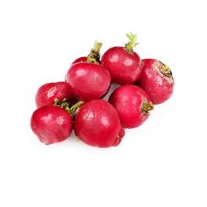 Image of Red Raddish (sold per kg) from Supplybunny.com