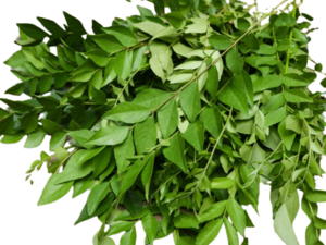 Image of Leaf Curry / Daun Curry (sold per kg) from Supplybunny.com
