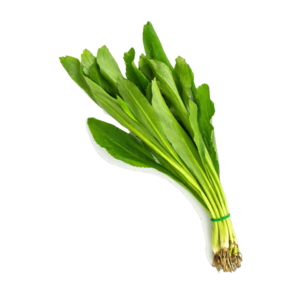 Image of Thai Parsley (sold per kg) from Supplybunny.com