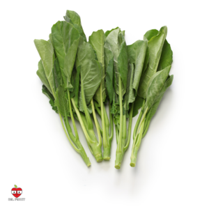 Image of Kailan Local / Cameron from Supplybunny.com