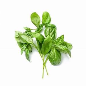 Image of Basil Fresh 100g±/pack (sold per pack) from Supplybunny.com