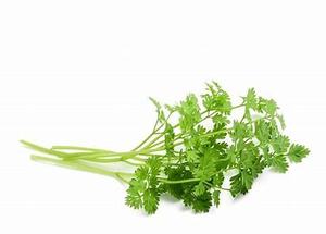 Image of Chervil Fresh 100g±/pack (sold per pack) from Supplybunny.com