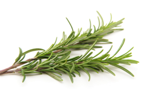 Image of Rosemary Fresh 100g±/pack (sold per pack) from Supplybunny.com