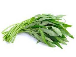 Image of Kangkung from Supplybunny.com
