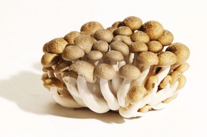 Image of Mushroom Shimeiji Brown 200g/pack (sold per pack) from Supplybunny.com