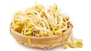 Image of Beansprout / Taugeh (MSM) from Supplybunny.com