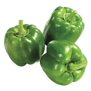 Image of Capsicum Pepper Green (sold per kg) from Supplybunny.com