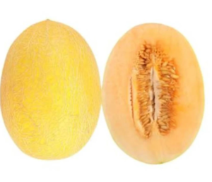 Image of Hami Melon (sold per kg) from Supplybunny.com