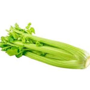 Image of Celery (sold per kg) from Supplybunny.com