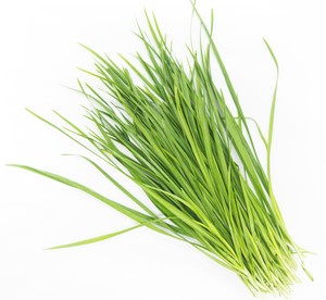 Image of Chive Garlic / Kuchai (sold per kg) from Supplybunny.com
