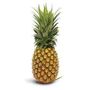 Image of Pineapple Crystal (sold per nos) from Supplybunny.com