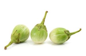 Image of Eggplant Green Thai / Terung Hijau Bulat from Supplybunny.com
