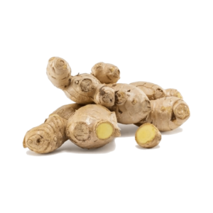 Image of Ginger Bentong (sold per kg) from Supplybunny.com