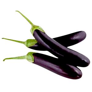 Image of Eggplant Long / Terung Panjang (B) from Supplybunny.com