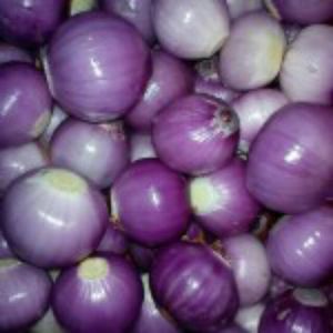 Image of Shallot Peeled / Bawang Kecil Kopek (sold per kg) from Supplybunny.com
