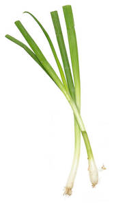 Image of Onion Spring / Daun Bawang from Supplybunny.com