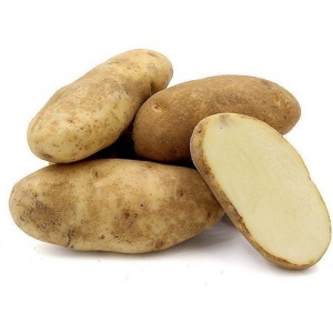Image of Potato Russet USA (sold per kg) from Supplybunny.com