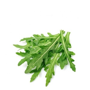 Image of Aragula / Rocket Leaf 100g±/pack (sold per pack) from Supplybunny.com