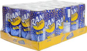 Image of Rani Mango Float Can 240ml x 24 (sold per carton) from Supplybunny.com