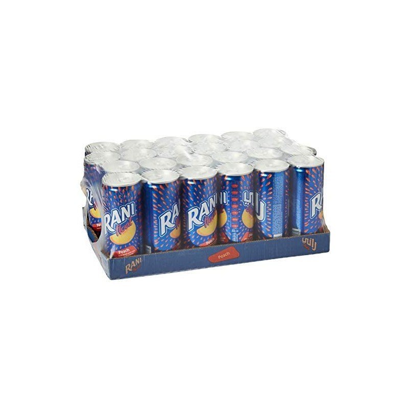 Rani Orange Float Can 240ml x 24 (sold per carton) — HORECA