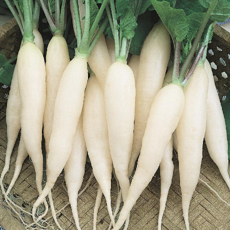 Homemade - White Raddish - Minced (Sweet) 500gm±/pack (sold per pack ...