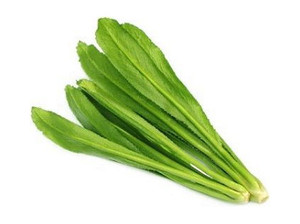 Image of Thai Culantro - Pa Chi Fa Lan 1kg±/pack (sold per pack) from Supplybunny.com