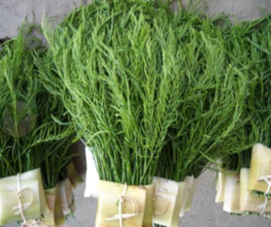 Image of Acacia Pennata - Cha Omm 500gm±/pack (sold per pack) from Supplybunny.com